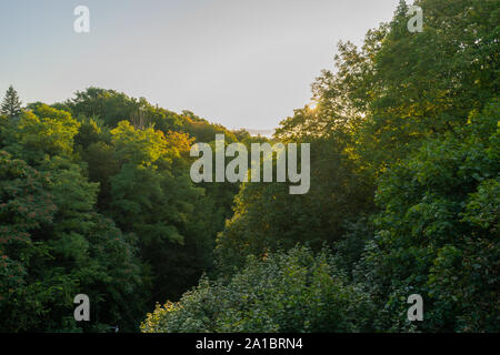 Die Blätter sind langsam drehend verschiedene Farben. Der Herbst steht vor der Tür. Stockfoto