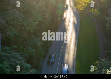 Die Blätter sind langsam drehend verschiedene Farben. Der Herbst steht vor der Tür. Stockfoto