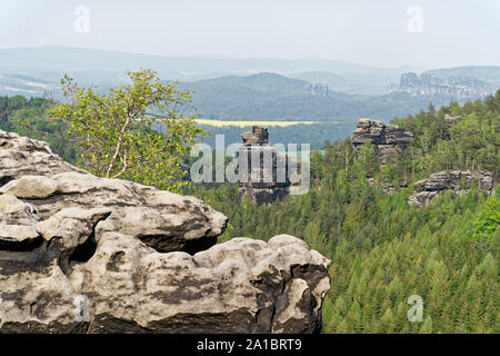 Elbsandsteingebirge - Ansicht von "Gohrisch' in leicht nebligen Wetter, Vordergrund ein Sandsteinfelsen mit einer Birke, Hintergrund Teil des "papststein" ein Stockfoto