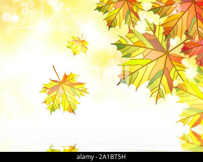 Herbst Maple Leafs bacground Stockfoto