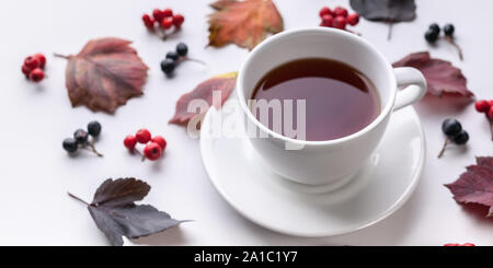 Banner: Weißer Tee Becher, Blätter und Beeren. Herbst Komposition. Rotes Laub, Keramik Teetasse und kleine Früchte auf weißem Hintergrund. Gefallenen Blätter und Rowan Stockfoto