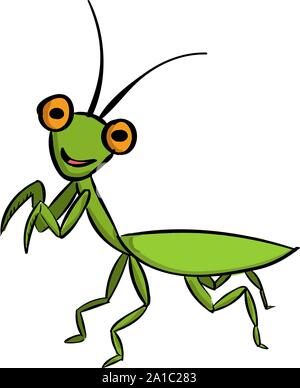 Green Mantis, Illustration, Vektor auf weißem Hintergrund. Stock Vektor