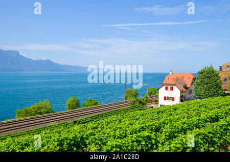 Scenic Railway an der Küste von den Genfer See in der Schweiz führt. Grüner Weinberg auf den angrenzenden Hang. Weinregion Lavaux. Schweizer Sommer. Eisenbahn, Schienen. Stockfoto