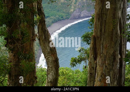 Blick vom Waipi'o Valley Aussichtspunkt auf die Big Island von Hawaii. Waipi'o bedeutet in der hawaiianischen Sprache 'gekrümmtes Wasser'. Stockfoto