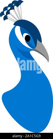 Blauer Pfau, Illustration, Vektor auf weißem Hintergrund. Stock Vektor