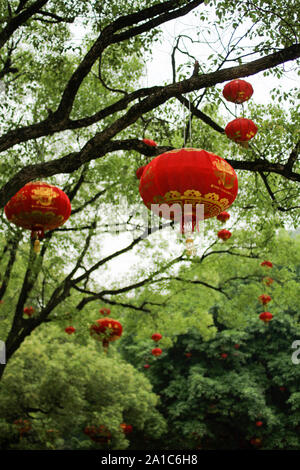 Garten, Baum, Lampions Stockfoto, Bild 167169178 Alamy