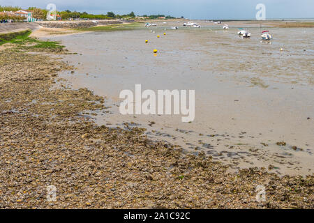 Insel Re, Frankreich - Mai 09, 2019: Boote im Hafen von La Flotte Dorf auf der Ile de Re Insel in Frankreich. Stockfoto