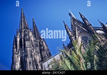 Der Kölner Dom (offiziell: Hohe Domkirche Sankt Petrus) ist eine römisch-katholische Kirche in Köln unter dem Patrozinium des Apostel Petrus. Stockfoto