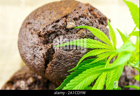 Schokolade Cannabis cupcake Muffins und Hanf Blätter auf hölzernen Tisch Stockfoto