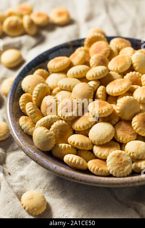 Vollkorn Oyster Cracker mit Meersalz Stockfoto