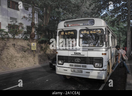 KANDY, SRI LANKA - 05. AUGUST 2019: Die meisten Überlandbusse in Sri Lanka sind schnell und unspezifisch Mann die Hand auf dem lokalen Bus. Stockfoto