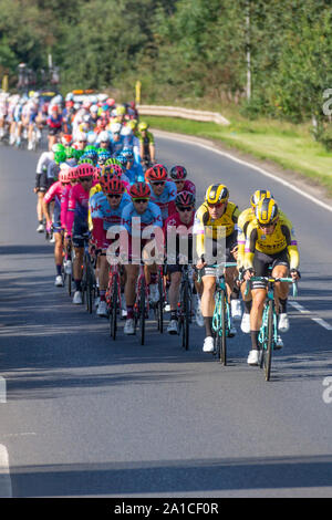 Das Peloton der2019 OVO Energy Tour von Großbritannien, Stufe 1 Glasgow am Samstag, 7. September Kirkcudbright Stockfoto