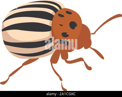 Coloradokäfer, Illustration, Vektor auf weißem Hintergrund. Stock Vektor