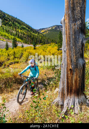 Mountainbiker Abstieg Silver Creek Trail von der Monarch Crest Trail, entlang der Kontinentalen in Colorado Teilen, Reiten in einem Fund Raiser für die Alle Stockfoto