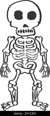 Skelett, Illustration, Vektor auf weißem Hintergrund. Stock Vektor
