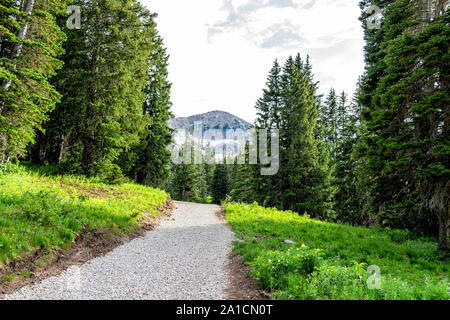 Albion Basin, Utah Sommer mit Querformat von Schmutz Road Trail in Wasatch Mountains zu Cecret See Stockfoto