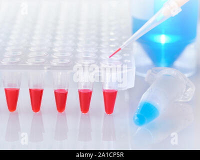 Wissenschaft und Molekularbiologie Hintergrund mit Text. Kunststoffrohr mit blauen DNA-Amplifikation Mischung und roten Rohre mit PCR-Proben für einen bereit Stockfoto