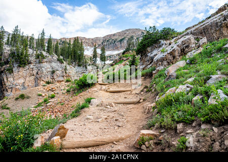 Albion Basin, Utah grün Sommer mit Rocky Trail steilen Hügel bis in Wasatch Mountains zu Cecret See und Wildblumen Stockfoto