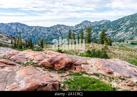 Albion Basin, Utah grüner Sommer Panoramablick auf felsigen Findlingen in Wasatch Berge in der Nähe von Cecret See und Wildblumen Stockfoto