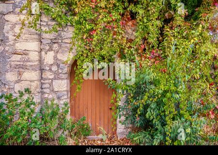 Blick auf die Straße von einem alten Haus aus Stein, der Eingang befindet sich in der Provence, Frankreich, wo ein Jahrgang mit runder Tür und Wand teilweise durch hübsche Kletterpflanzen abgedeckt sind Stockfoto
