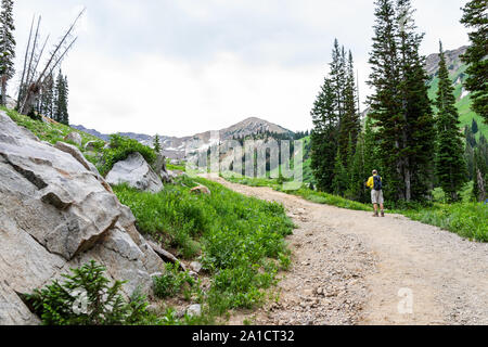 Alta, USA - 26. Juli 2019: Albion Becken, Oregon Trail in Wildblumen Jahreszeit in der Wasatch Mountains mit Straße und man walking Stockfoto