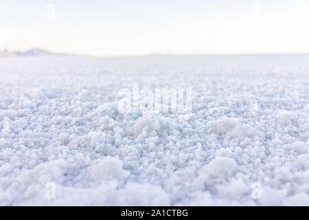 Makro Nahaufnahme niedrigen Winkel Erdgeschoss Blick auf Textur der Bonneville Salt Flats mit nassen Salz auf dem Boden abstrakt mit Horizont Stockfoto