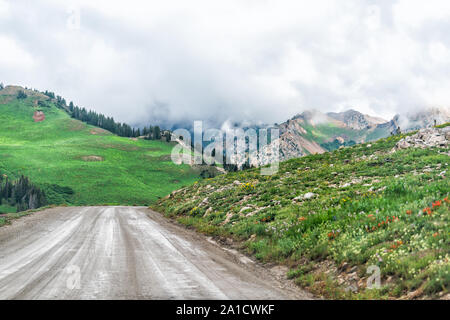 Albion Basin, Utah Sommer Schmutz der Straße für Shuttles und Autos im Jahr 2019 in der Wasatch Mountains mit Wolken an stürmischen Tag und Blumen Stockfoto