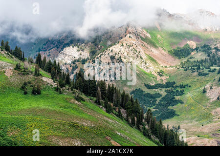 Albion Basin, Utah Sommer wiesen in Morgen in 2019 an stürmischen Tag mit Wolken und Nebel Nebel über bedeckt, felsigen Wasatch Mountains Stockfoto