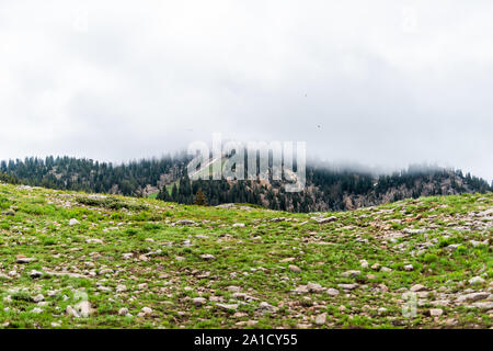Albion Basin, Utah Sommer bewölkten Tag im Jahr 2019 an stürmischen Morgen mit Wolken und Nebel Nebel über bedeckt, felsigen Wasatch Mountains Stockfoto