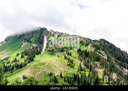 Albion Basin, Utah Lake Steigung auf Sommer bewölkt Misty nebligen Tag mit Rocky Wasatch Berge und grüne Pinien Stockfoto