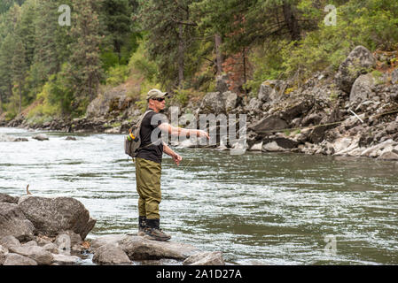 Fischer Casting im Gebirgsbach Fliegen im Herbst Saison. Stockfoto