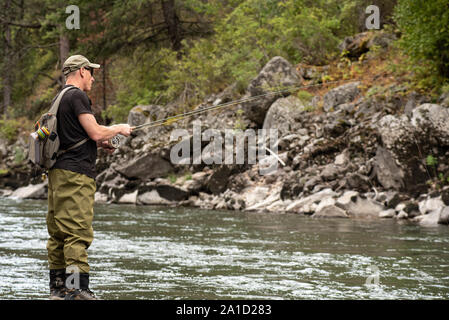 Fischer Casting im Gebirgsbach Fliegen. Stockfoto