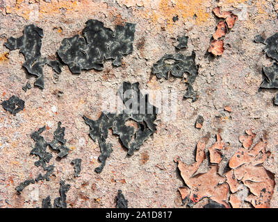 Typische Detail eines antiken Blech von einem italienischen Landhaus, in Eisen mit Rost und Risse im Lack. Stockfoto