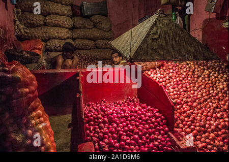 Kolkata, Indien. 25 Sep, 2019. Arbeiter arbeiten bei einer Zwiebel Großhandelsmarkt in Kolkata, Indien, Sept. 25, 2019. Preis der Zwiebeln haben stieg auf fast das Dreifache in den letzten paar Wochen in Indien, angeblich wegen der schweren Schäden zu erbringen bereit - für - Ernte Ernte im südwestlichen Bundesstaat Maharashtra und anderen nahe gelegenen Gebieten, durch die unaufhörlichen Regenfälle in diesem Jahr. Verkauft bei einem Preis von rund 20 indische Rupien ein Kilogramm in Delhi und anderen Teilen im Norden von Indien, die Ware wird jetzt bei fast 60 Indische Rupien ein Kilogramm erhältlich. Credit: tumpa Mondal/Xinhua/Alamy leben Nachrichten Stockfoto