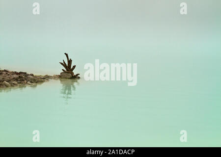 Reste eines toten Baum am Rand des vulkanischen Kratersee im Nebel bei Kawah Putih, Bandung Stockfoto