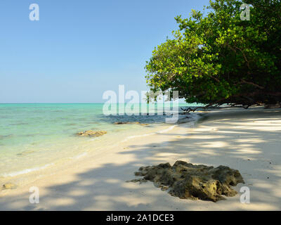 Unberührte Strand auf Havelock Island der Andamanen und Nikobaren Inseln, Indien Stockfoto