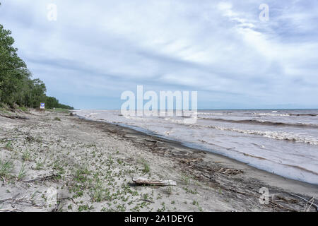 Kanada, Ontario, Lake Erie, Long Point ovichel Park, ein stürmischer Tag an longpoint im Juni 2019 Stockfoto