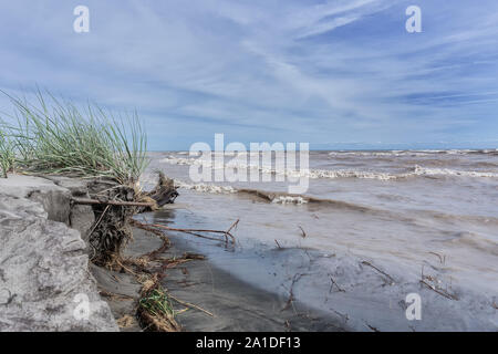 Kanada, Ontario, Lake Erie, Long Point ovichel Park, ein stürmischer Tag an longpoint im Juni 2019 Stockfoto