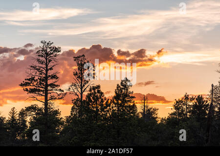 Silhouette von Bäumen in Paria View bieten mit schönen Dämmerung dunkel orange Himmel mit Wolken im Bryce Canyon National Park nach Sonnenuntergang Stockfoto