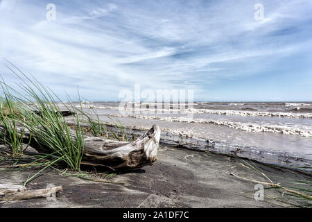 Kanada, Ontario, Lake Erie, Long Point ovichel Park, ein stürmischer Tag an longpoint im Juni 2019 Stockfoto