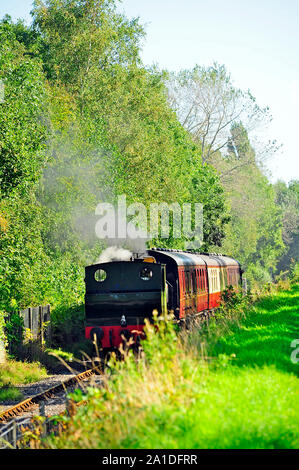 Ribble Dampf Eisenbahn Zug reisen im bewaldeten Gebiet im Sommer Stockfoto