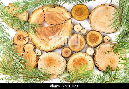 Holz- Protokolle von verschiedenen Bäumen mit pine Niederlassungen auf weißem Hintergrund Stockfoto
