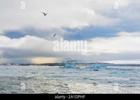 Palanderbukta, Eiskappe und Packeis, Gustav Adolf Land, Nordaustlandet, Svalbard, Norwegen Stockfoto