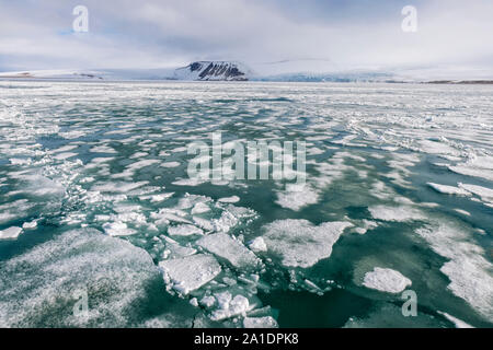 Palanderbukta Bay, Packeis Muster, Gustav Adolf Land, Nordaustlandet, Svalbard, Norwegen Stockfoto