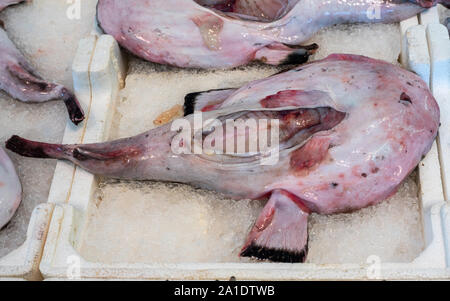 Seeteufel auf Fischmarkt Stockfoto