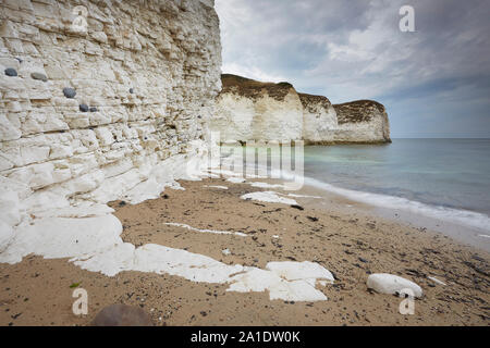 Flamborough Head Beach chalk White Cliffs und Meer, East Yorkshire, Großbritannien Stockfoto