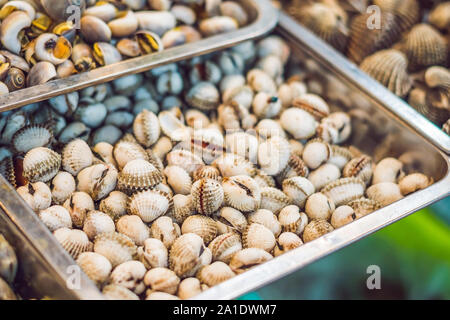 Frische leckere Meeresfrüchte serviert auf Crushed Eis, Nahaufnahme. Stockfoto