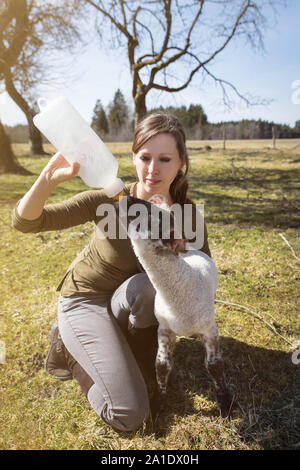 Frau Fütterung einen hungrigen Lamm mit einer Flasche Milch, Hand heben und Tierschutz Stockfoto