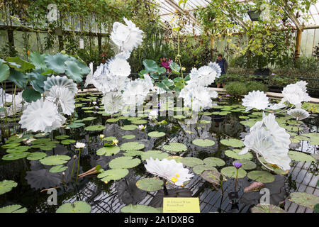 Von Dale Chihuly Ethereal Weiß persischen Teich Skulptur in der Seerose Haus in Kew Gardens, London, UK Stockfoto