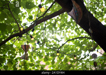 Licht durch die Blätter eines Baumes Zweig mit Ornamenten und Lichterketten in Antwerpen, Flandern, Belgien eingerichtet. Stockfoto